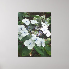 Impressão Em Tela Ofertas de Natures, Impressão de tela estendida