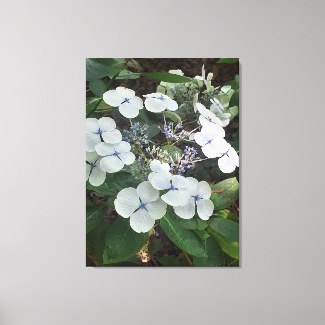 Impressão Em Tela Ofertas de Natures, Impressão de tela estendida (Frente)