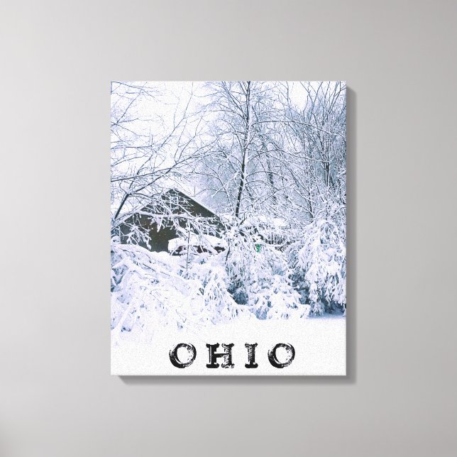 IMPRESSÃO EM TELA OHIO IN WINTER 2020 (Frente)