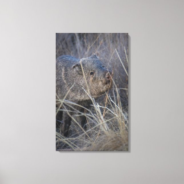 Impressão Em Tela olá porquinho (Frente)