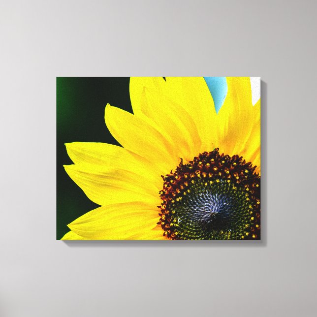 Impressão Em Tela Olá Sunshine Sunflower (Frente)