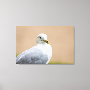 Impressão Em Tela Olhando para fora