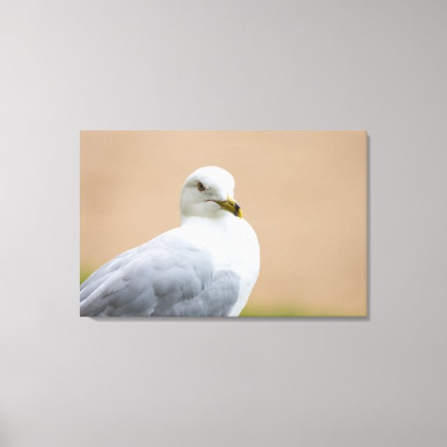 Impressão Em Tela Olhando para fora (Frente)