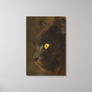 Impressão Em Tela Olhando para fora