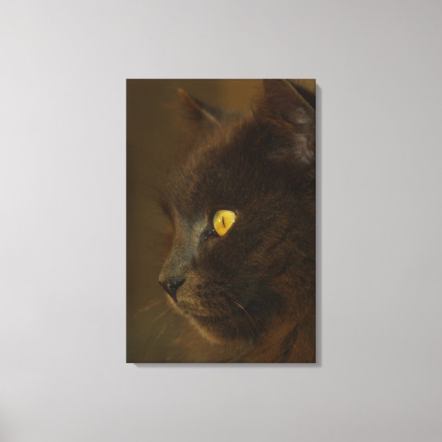 Impressão Em Tela Olhando para fora (Frente)