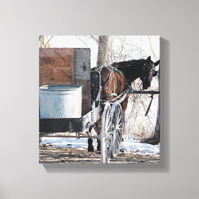 Impressão Em Tela Olhando para trás (Frente)