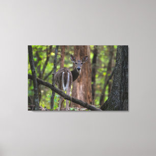 Impressão Em Tela Olhando Para Trás