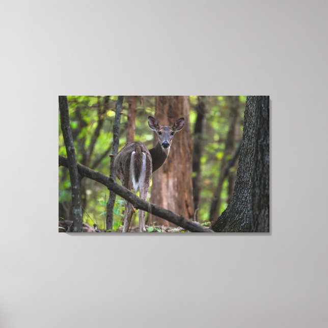 Impressão Em Tela Olhando Para Trás (Frente)