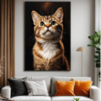 Olhar Felino