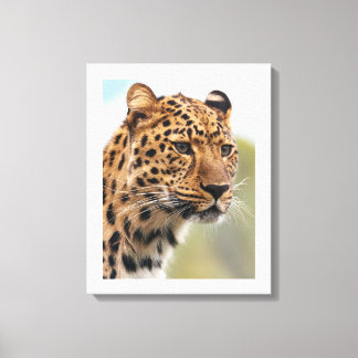 Impressão Em Tela Olhar Intenso do Leopardo