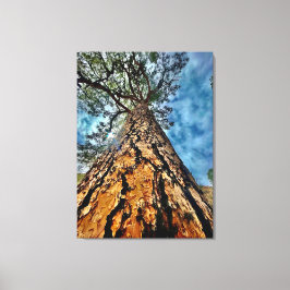 Impressão Em Tela Olhe para cima!