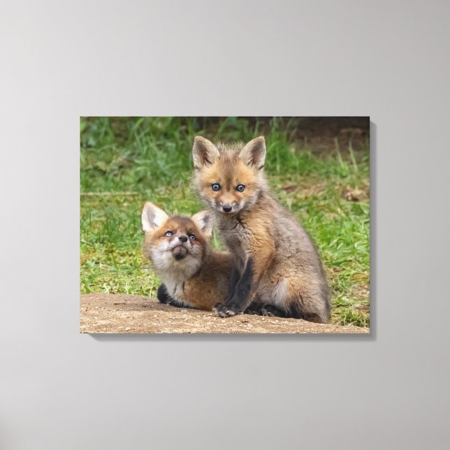 Impressão Em Tela Olhos Adoráveis (Frente)