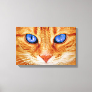 Impressão Em Tela Olhos de Gato Cara Cavala vermelha Gato