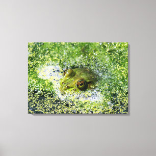 Impressão Em Tela Olhos de sapo