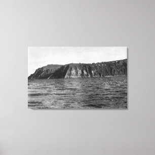 Impressão Em Tela Opinião fotografia da Ilha do rei, Alaska