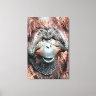 IMPRESSÃO EM TELA ORANGUTAN