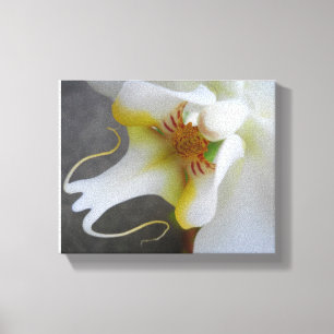 Impressão Em Tela Orquídea branca elegante - Foto de arte fina