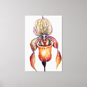 Impressão Em Tela Orquídea de Paphiopedilum aquarela em cores vivas