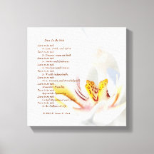 Orquídea "ousada a ser rica"