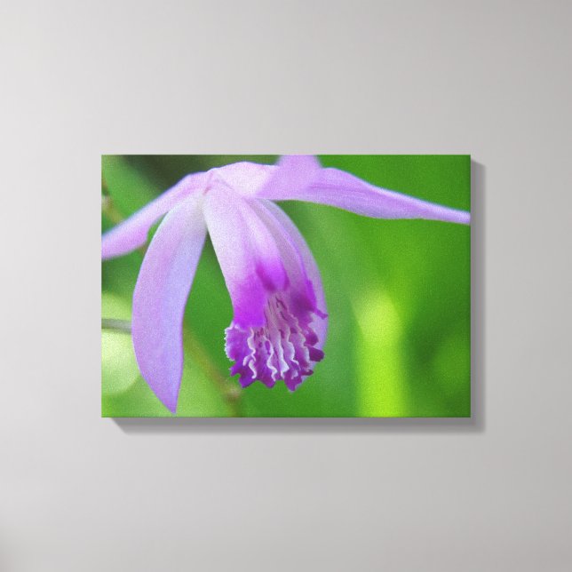 Impressão Em Tela Orquídea para você! (Frente)