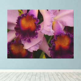 Impressão Em Tela Orquídea Real Purple Cattleya
