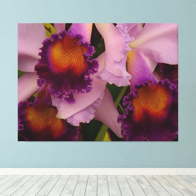 Impressão Em Tela Orquídea Real Purple Cattleya (Insitu(piso de madeira))