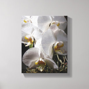 Impressão Em Tela Orquídeas brancas