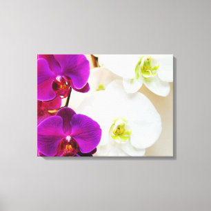 Impressão Em Tela Orquídeas Brancas Tropicais Número Três