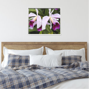 Impressão Em Tela Orquídeas de Cattleya Roxo