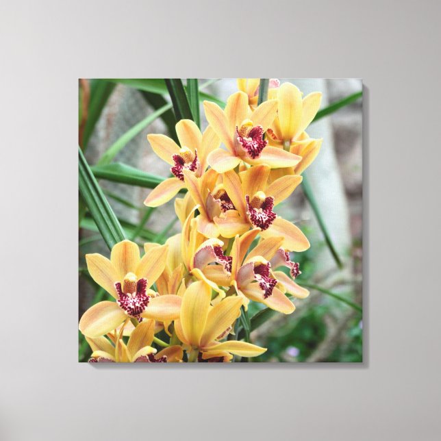 Impressão Em Tela Orquídeas Estrelas (Frente)