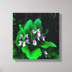 Impressão Em Tela Orquídeas Silvestres