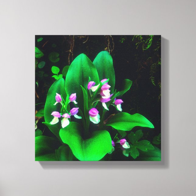 Impressão Em Tela Orquídeas Silvestres (Frente)