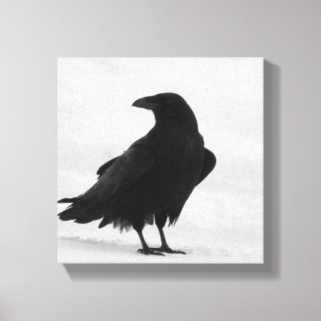Impressão Em Tela Orud Raven (Frente)