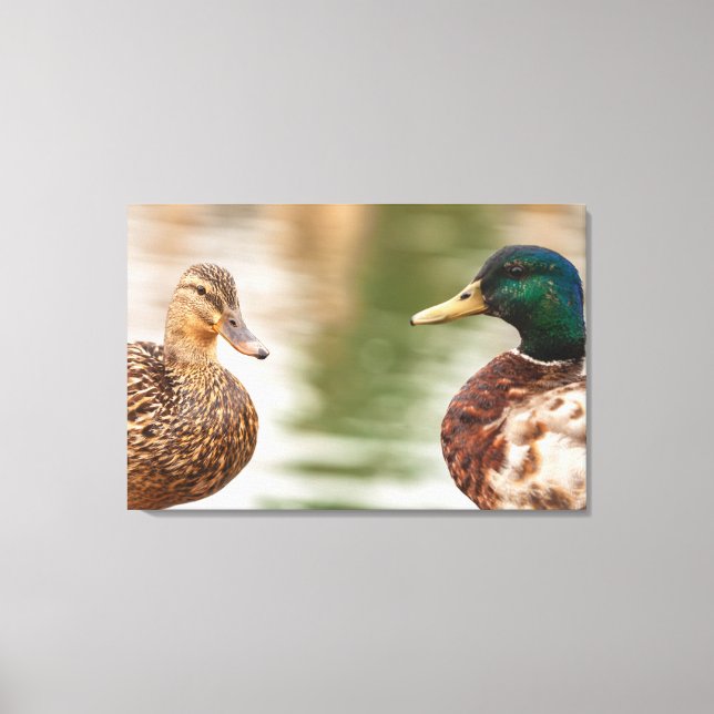 Impressão Em Tela Os Mallards (Frente)