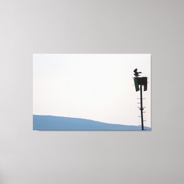 Impressão Em Tela Osprey em Frente ao Monte Desert Island, Maine (Frente)