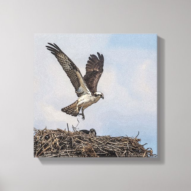 Impressão Em Tela Osprey em um ninho (Frente)