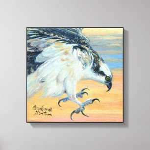 Impressão Em Tela "Osprey Landing"