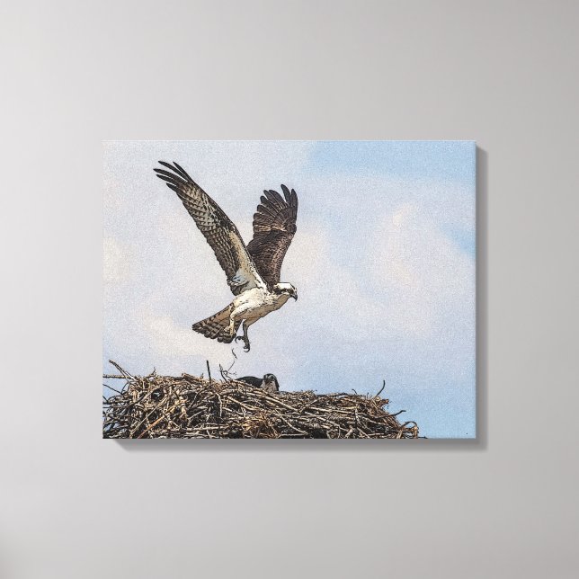 Impressão Em Tela Osprey num ninho (Frente)