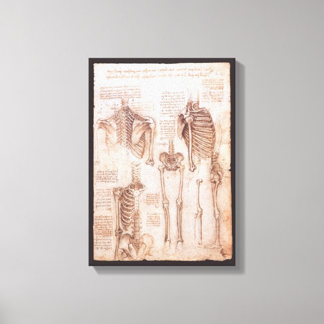 Impressão Em Tela Ossos do Esqueleto da Anatomia Humana de Leonardo  (Frente)