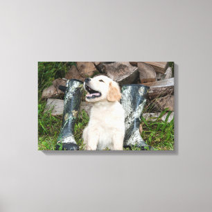 Impressão Em Tela Ouro Retriever Puppy e Hunting Boots