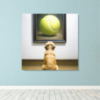 Ouro Retriever Staring em uma pintura de esfera
