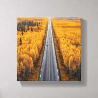 Ouro Road Through the Forest