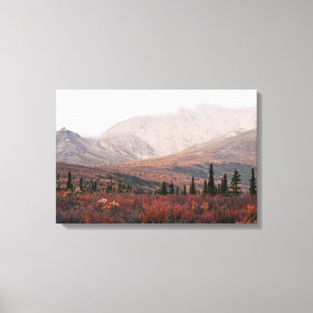 Impressão Em Tela Outono em Denali (Frente)