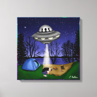 OVNI Alienígena de rapto extraterrestre