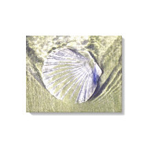 Oyster Shell Embaixo da Água