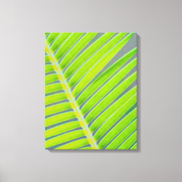 Impressão Em Tela Padrões de Palmas