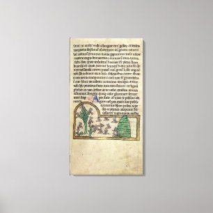 Impressão Em Tela Página de Roy do texto com ilustração de