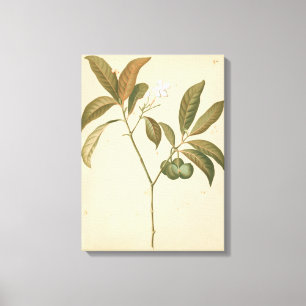 Impressão Em Tela Painel I do Deco do Cobalto