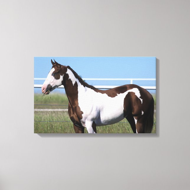 Impressão Em Tela Paint Horse Permanente (Frente)