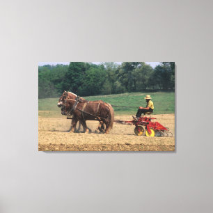 Impressão Em Tela País Amish pessoas simples na agricultura com